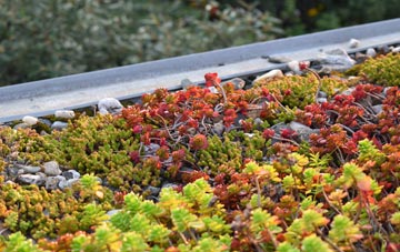 the cost of Halesfield green roof installation