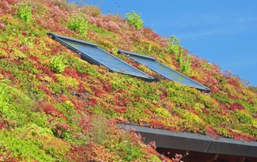 Halesfield living roof systems